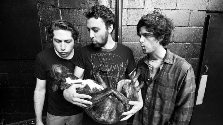 Mini Mansions Band Photo With Dog